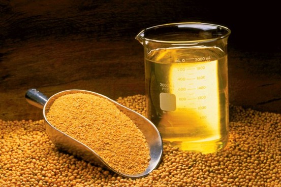 Falling Soy-Oil Price Curries Favor in Indian Kitchens