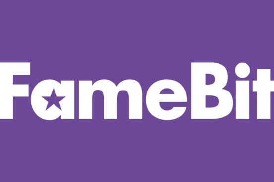 Google Grabs Influencer Startup FameBit